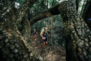 BIB: 
                            <button type="button" onclick="openModal(25392095)" class="btn btn-primary btn-sm float-right btn-popup" data-toggle="modal" data-target=".modal-high-quality">
                        <i class="fas fa-shopping-cart"></i> Add to Cart
                    </button>
                                            <button type="button" onclick="isThisMe(25392095, true)" class="btn btn-success btn-sm float-right btn-popup btn-isme hidden" data-toggle="tooltip" data-placement="bottom" title="นี่คือรูปของคุณใช่ไหม คลิกที่นี่เพื่อเอาเข้าอัลบั้ม">
                        <i class="fas fa-plus"></i> Add to album
                    </button>
                    <button type="button" onclick="isThisMe(25392095, false)" class="btn btn-warning btn-sm float-right btn-popup btn-isnotme hidden">
                        <i class="fas fa-ban"></i> Remove from album
                    </button>